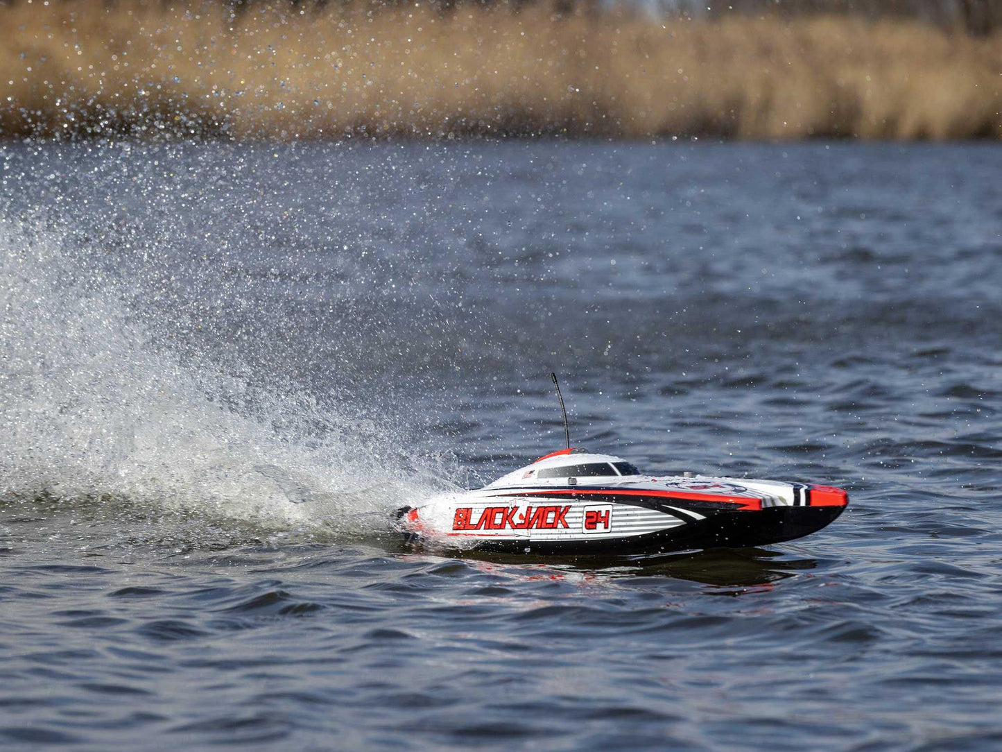Blackjack 24" V2 Catamaran Brushless: RTR, Vegas Offshore