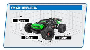 CORALLY PUNISHER 4 BRUSHLESS 4S BASHER TRUCK RTR - GREEN