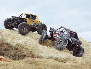UDI RC UCX24 SNOW LEOPARD 1/24 CRAWLER RTR BRUSHLESS 4WS BLACK