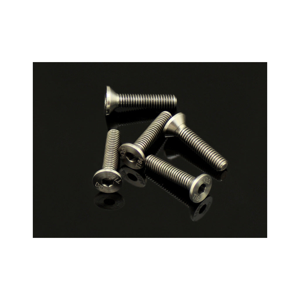 64 Ti Screw Allen Csk M3 x 14 (5)