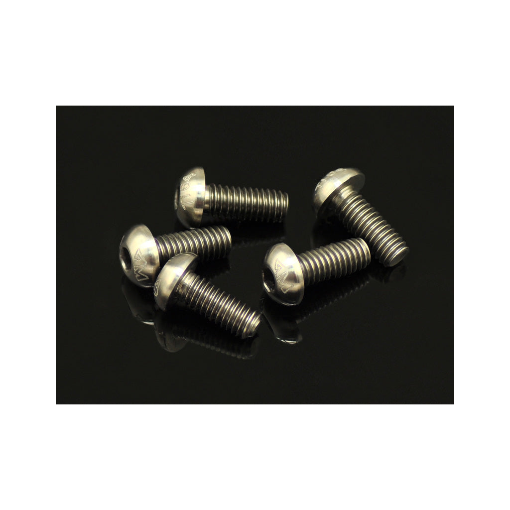 64 Ti Screw Allen Round Head M4 x 12 (5)