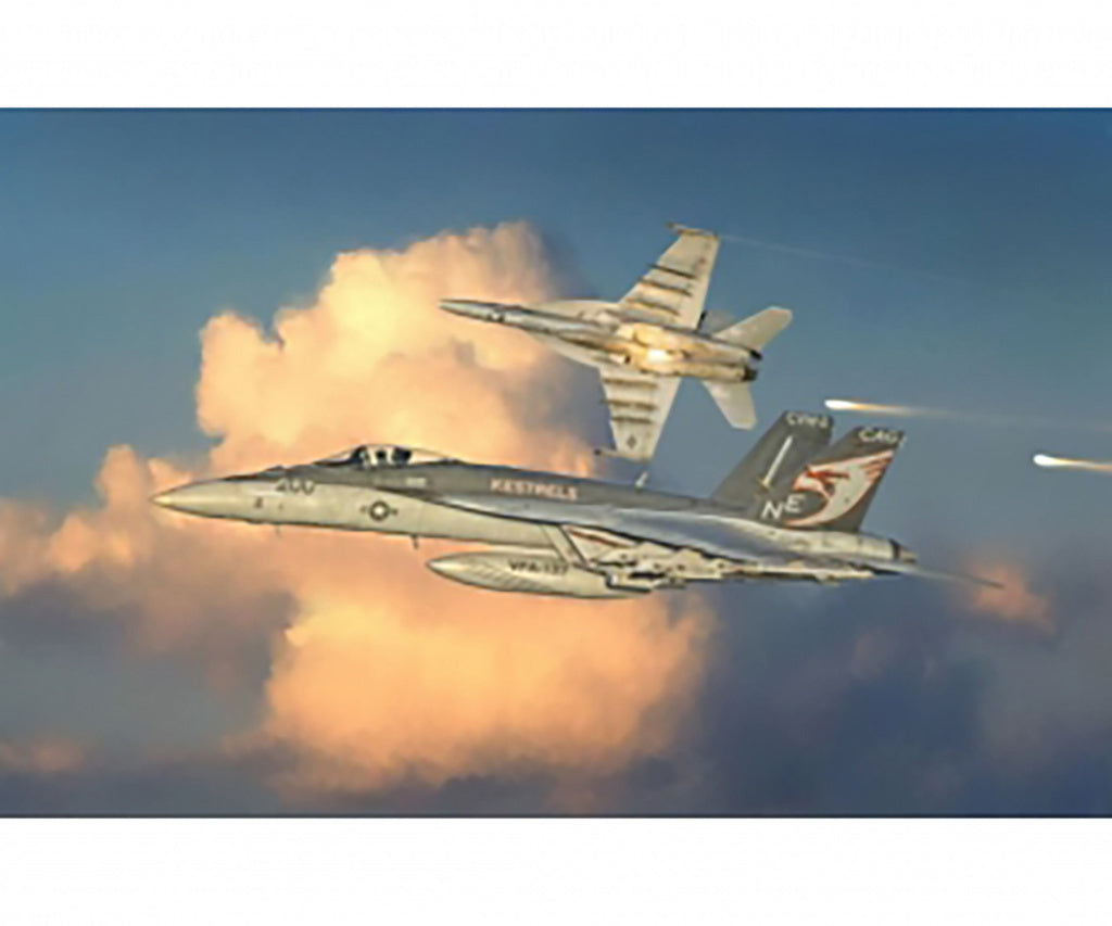 F/A-18E  SUPER HORNET   TOP GUN!