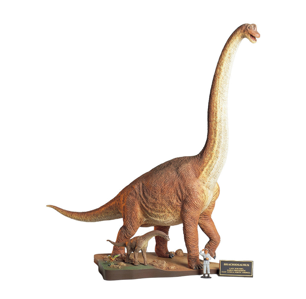 Brachiosaurus Diorama 1/35