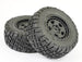 TEAM ASSOCIATED PRO4 SC10 RTR BRUSHLESS TRUCK