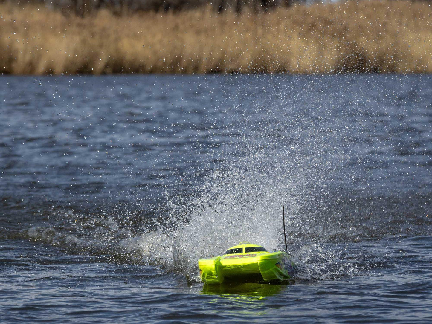 Blackjack 24" V2 Catamaran Brushless: RTR, Heat Wave Visual