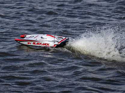 Blackjack 24" V2 Catamaran Brushless: RTR, Vegas Offshore