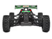 CORALLY SYNCRO-4 BRUSHLESS 4S 4WD BASHER BUGGY RTR - GREEN