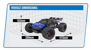 CORALLY PUNISHER 4 BRUSHLESS 4S BASHER TRUCK RTR - BLUE