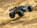 CORALLY PUNISHER 4 BRUSHLESS 4S BASHER TRUCK RTR - BLUE