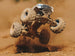 1/10 FREEDOM FLYER 223S 2WD RTR Brushless Monster Truck – Arrma RC model