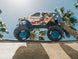 1/10 FREEDOM FLYER 223S 2WD RTR Brushless Monster Truck – Arrma RC model