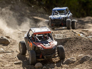 1/10 RZR Rey 4WD Utility Terrain Vehicle RTR FOX