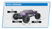 FTX CARNAGE 2.0 1/10 BRUSHLESS TRUCK 4WD RTR WITH LIPO BATTERY & CHARGER