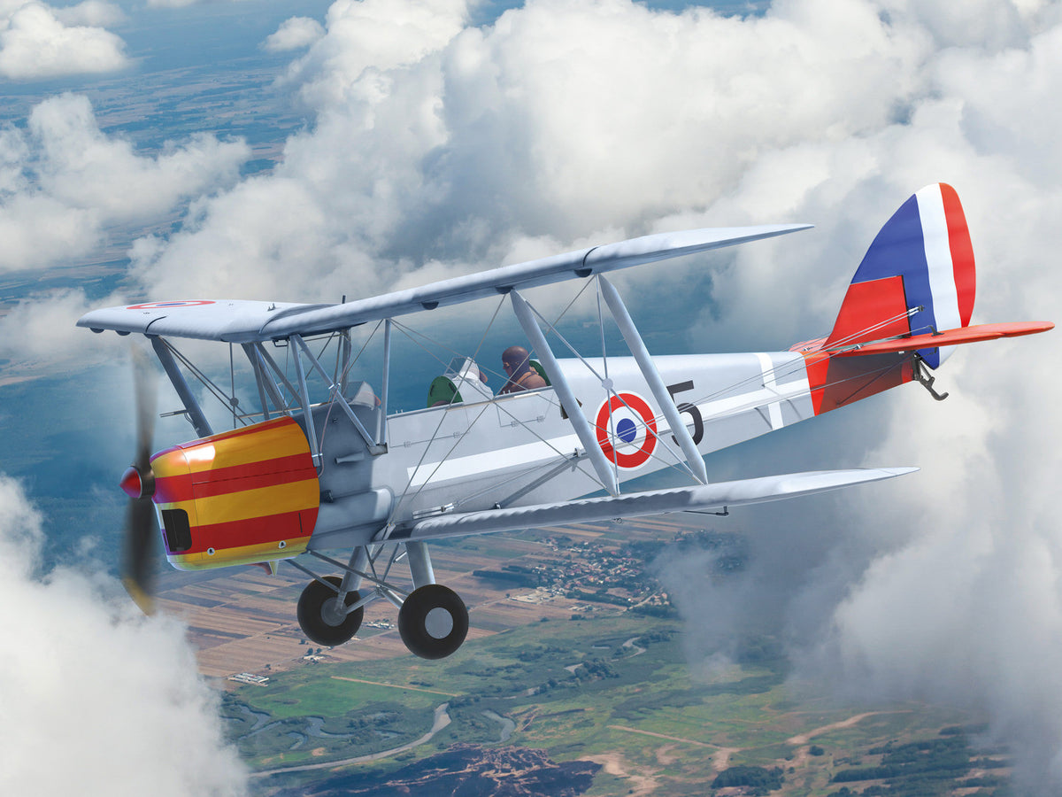 DH.82A Tiger Moth of the World Air Forces