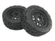 METHOD TERRAFORM BELTED SC TYRES ON SWITCH RIMS 1/7, 1/8