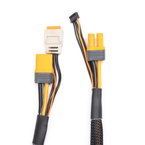 Charge Lead with Balance Extension 24" IC5, 2-4S