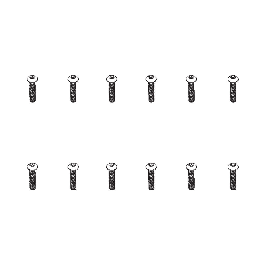 B head hex screw HM4*20   12pcs