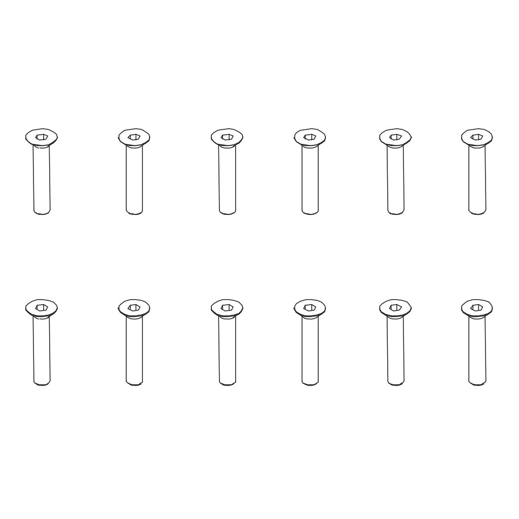 Flat Head Hex ScrewHM3*16 12PCS