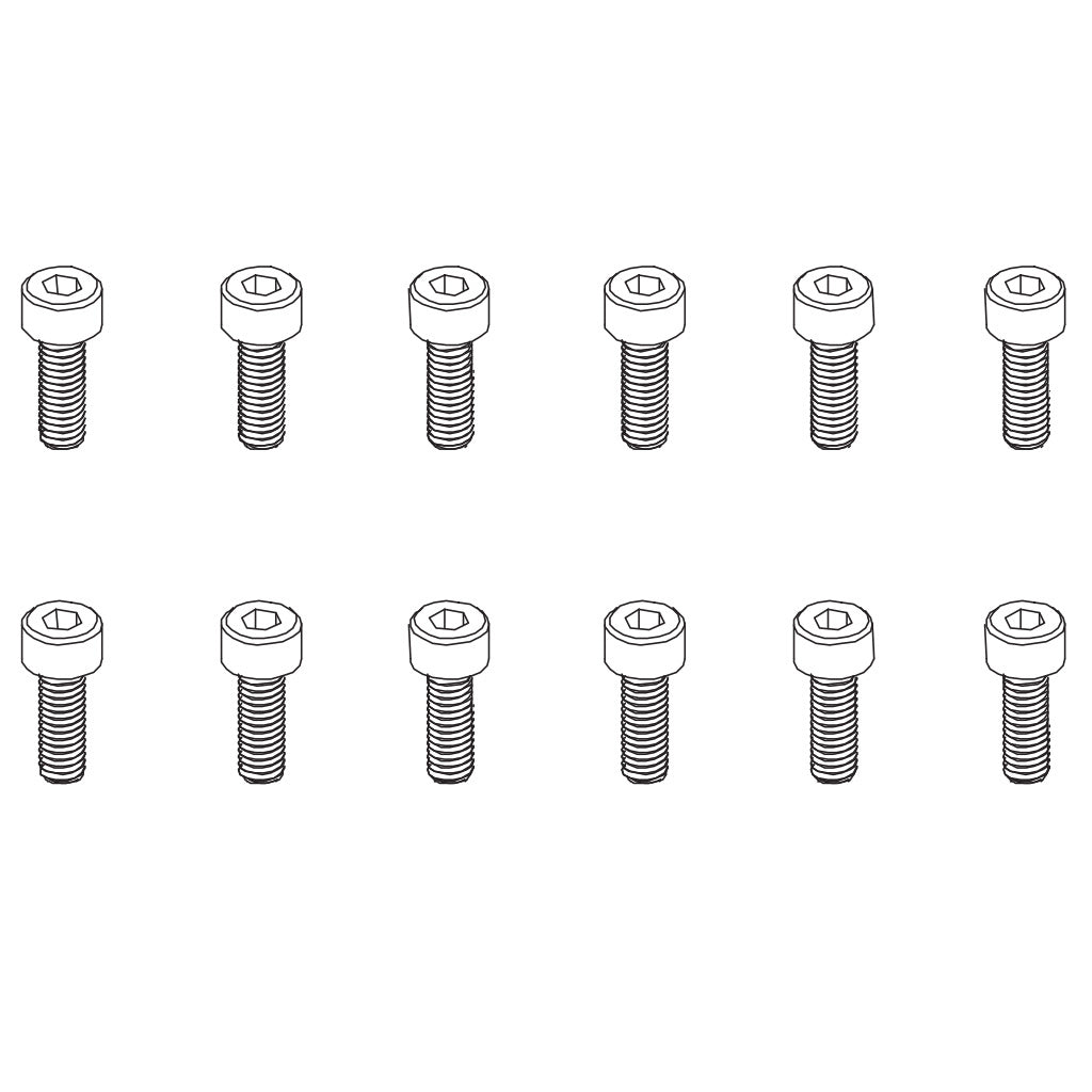 Hex Screw HM4*12   12PCS