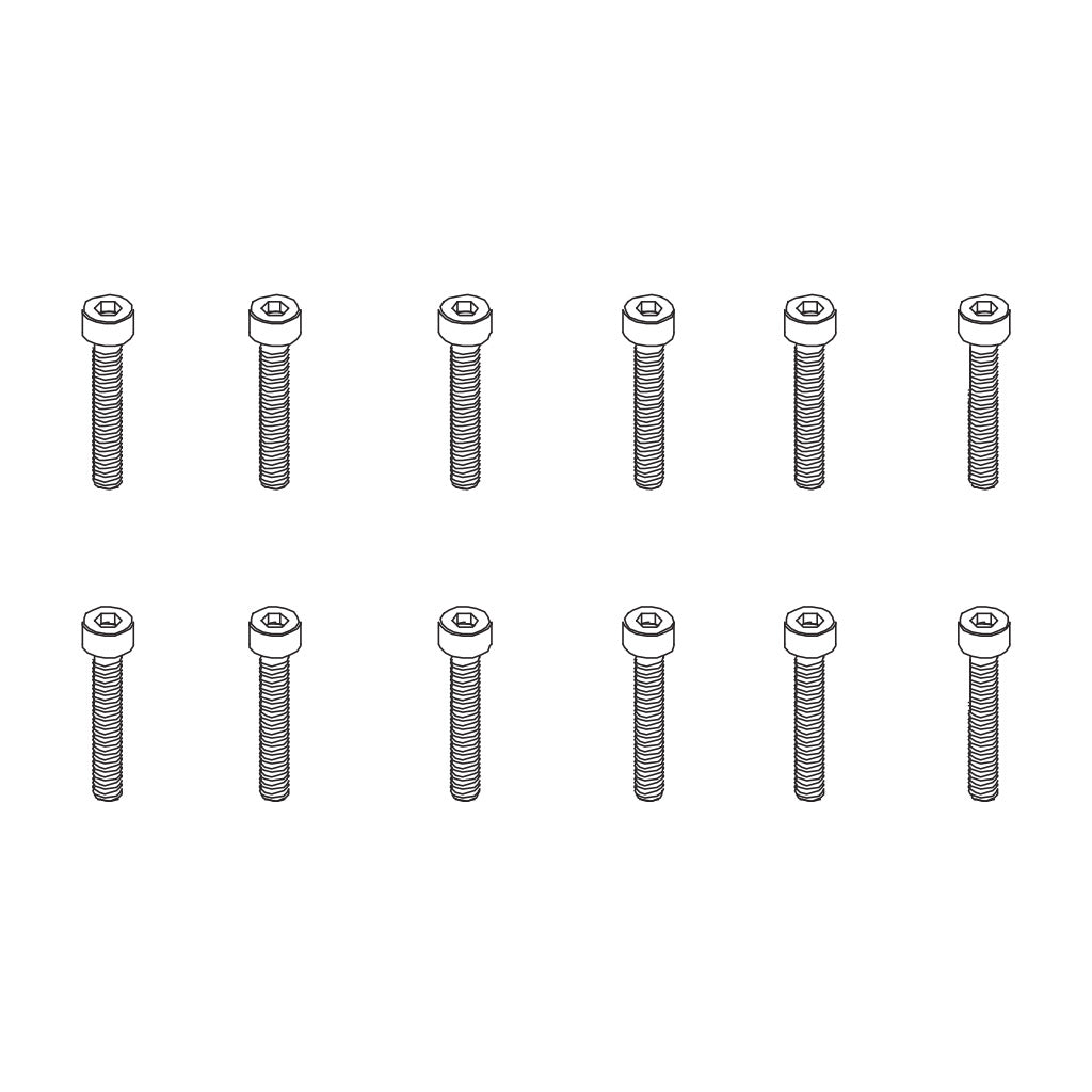Hex Screw HM2.5*10   12PCS