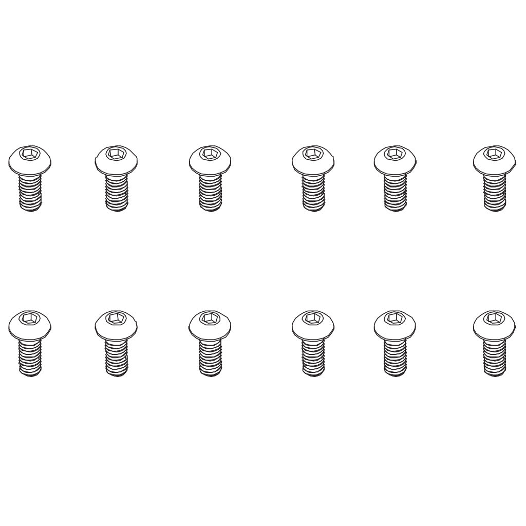 B head hex screw HM4*10   12pcs
