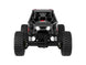 UDI RC UCX24 SNOW LEOPARD 1/24 CRAWLER RTR BRUSHLESS 4WS BLACK