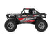 UDI RC UCX24 SNOW LEOPARD 1/24 CRAWLER RTR BRUSHLESS 4WS BLACK