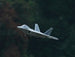 XFLY TWIN 40MM F-22 EDF 702MM JET WITHOUT TX/RX/BATT