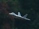 XFLY TWIN 40MM F-22 EDF 702MM JET WITHOUT TX/RX/BATT