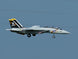 XFLY TWIN 40MM F-14 TOMCAT EDF 700MM JET WITHOUT TX/RX/BATTERY