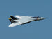 XFLY TWIN 40MM F-14 TOMCAT EDF 700MM JET WITHOUT TX/RX/BATTERY