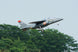 XFLY 80MM ALPHA EDF 970MM JET WITHOUT TX/RX/BATT - GREY