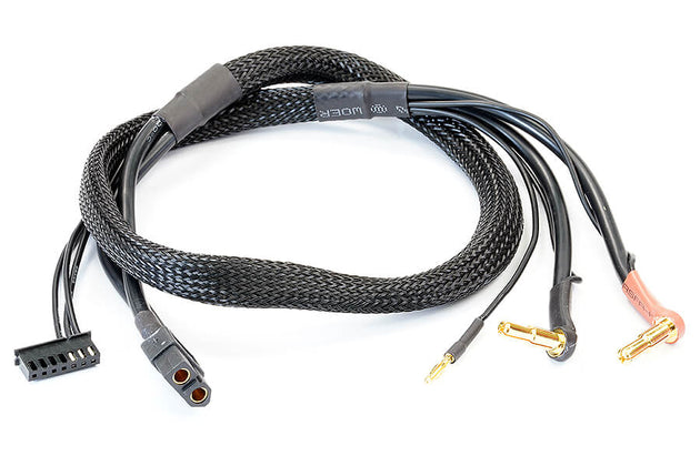 CENTRO LIPO BALANCE LEAD XT60 (60CM) BANANA PLUG 4+5MM