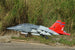 XFLY EDF 80MM T-7A RED HAWK W/O TX/RX/BATT