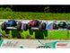 CORALLY KAGAMA XP 6S BRUSHLESS TRUCK RTR - BLUE