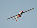 XFLY SWIFT 2100 GLIDER WITHOUT TX/RX/BATT