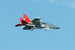 XFLY EDF 80MM T-7A RED HAWK W/O TX/RX/BATT