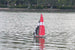VOLANTEX COMPASS SAIL YACHT RTR BOAT