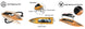VOLANTEX VECTOR SR80 PRO ARTR BOAT (NO BATT)- BLACK/ORANGE