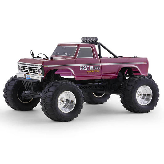 FMS 1:10 FORD F100 RS 2WD