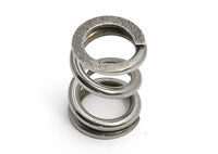 TEAM ASSOCIATED B44/B6/B6D SLIPPER SPRING