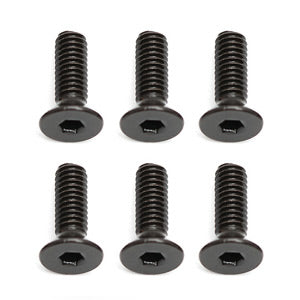 TEAM ASSOCIATED QUALIFIER APEX 2.5 X 8MM FHCS (10)