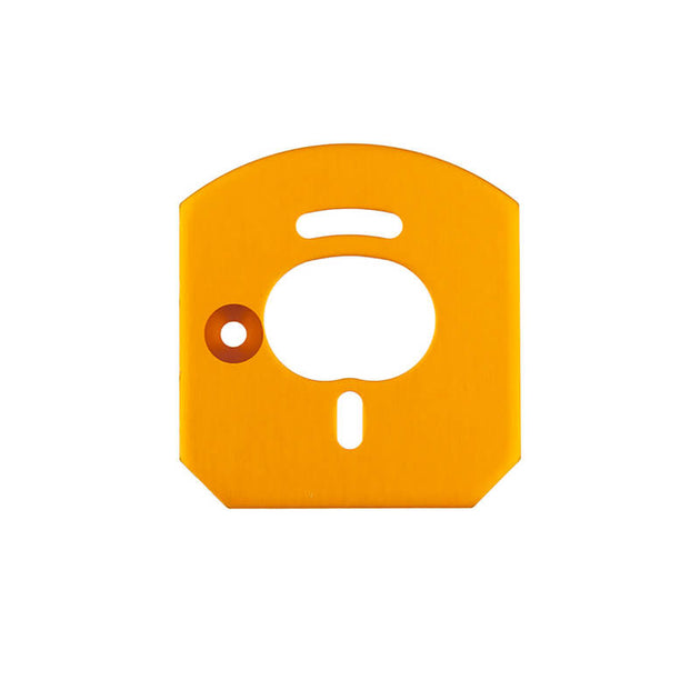 TEAM ASSOCIATED 6X6 MOTOR MOUNT PLATE, GOLD