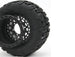 METHOD TERRAFORM BELTED 1/10MT TYRES ON ARRAY BEADLOCK RIMS